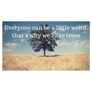 Everyone can be a little weird,that's why we have trees